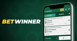The Ultimate Guide to BetWinner Platform